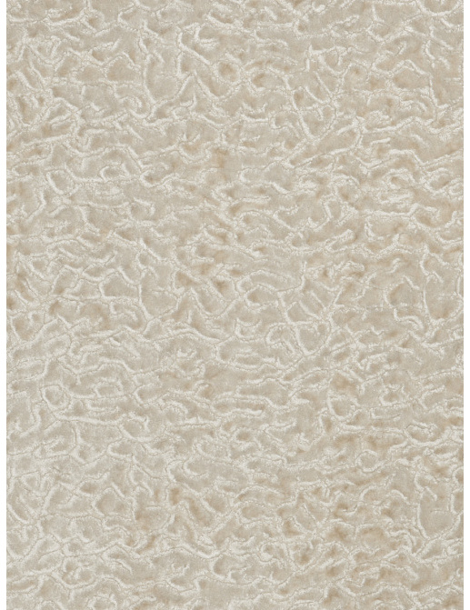 Ткань Fabricut Vignettes Vol.XIV Birch Pareto/Ivory
