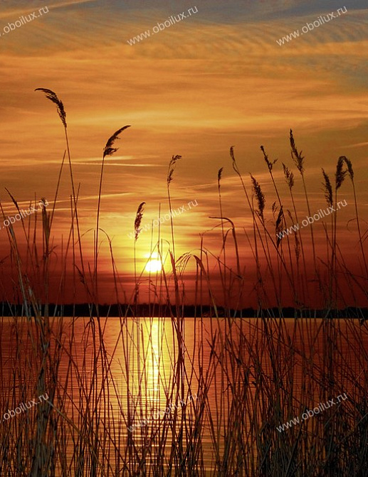 Панно и фотообои A. S. Creation XXL II 295 Sunset At The Lake 