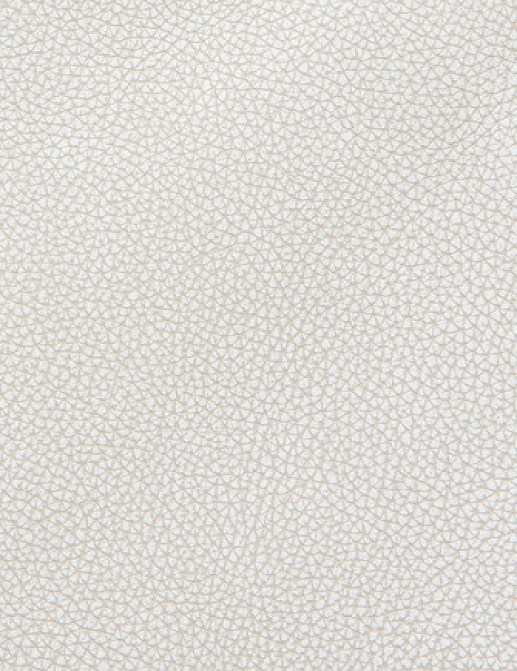 Ткань Holly Hunt Holly Hunt Leather 6013/39