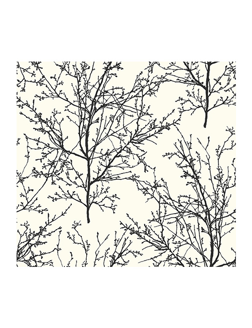 Обои Paper & Ink Black And White BW22400
