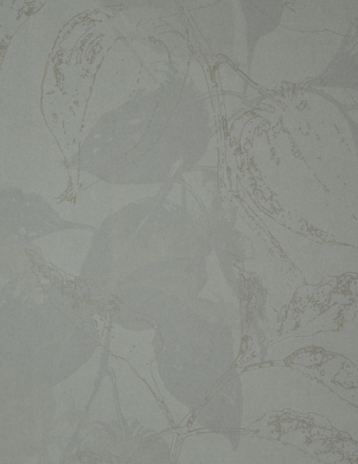 Обои Decoprint Beyond BY32201