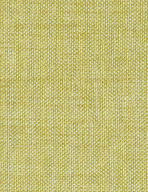 Ткань Designers Guild Rinzu F1393/24