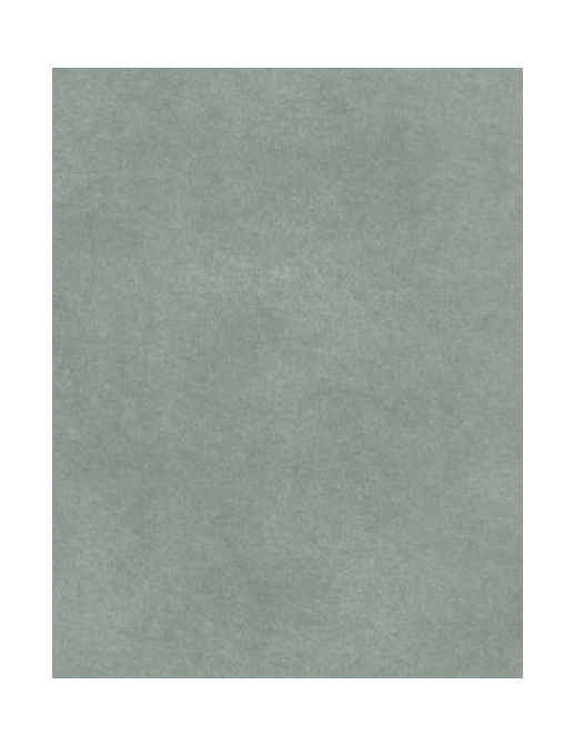 Обои Prestigious Textiles Fusion 1922-769