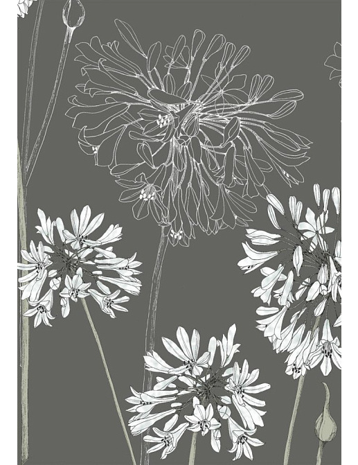 Обои Fardis Shangri La 117087