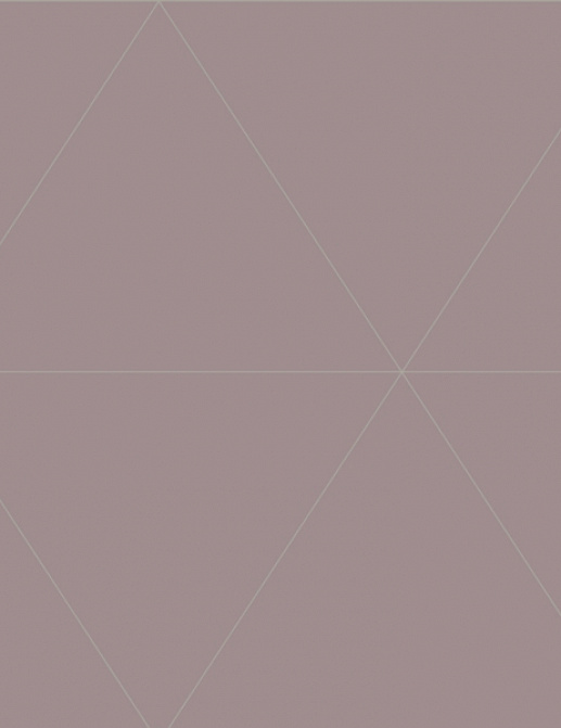 Обои Aura East West Style FD24227