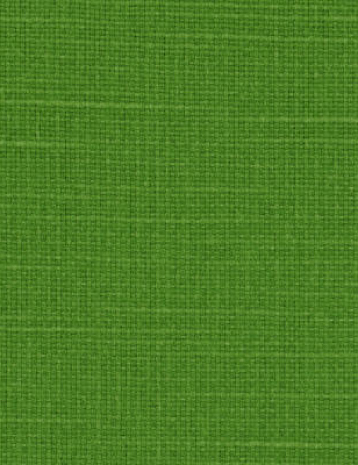 Ткань Designers Guild Salso F1797/26