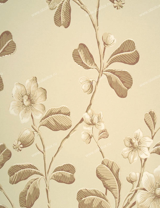 Обои Little Greene London Wallpapers 0277BRSANDA