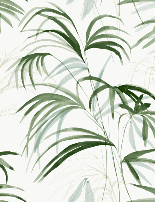 Обои York Natural Discovery (Candice Olson) NT6121
