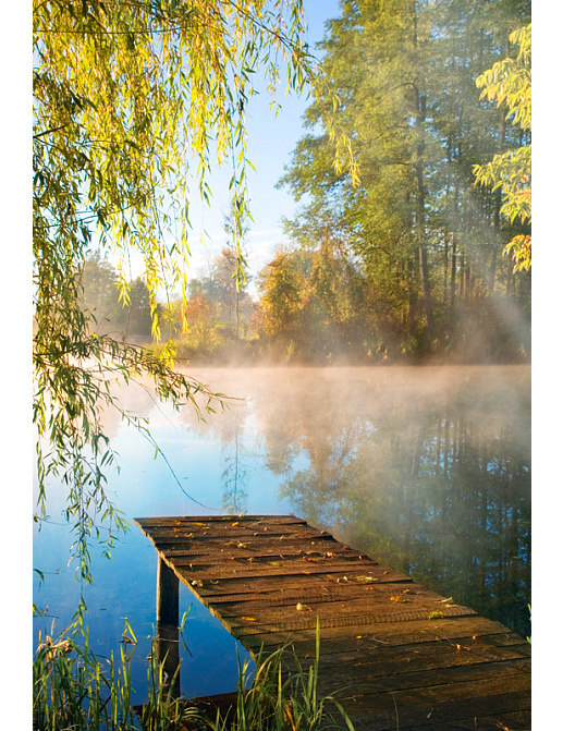 Панно и фотообои Affresco Фрески и фотообои ID10862