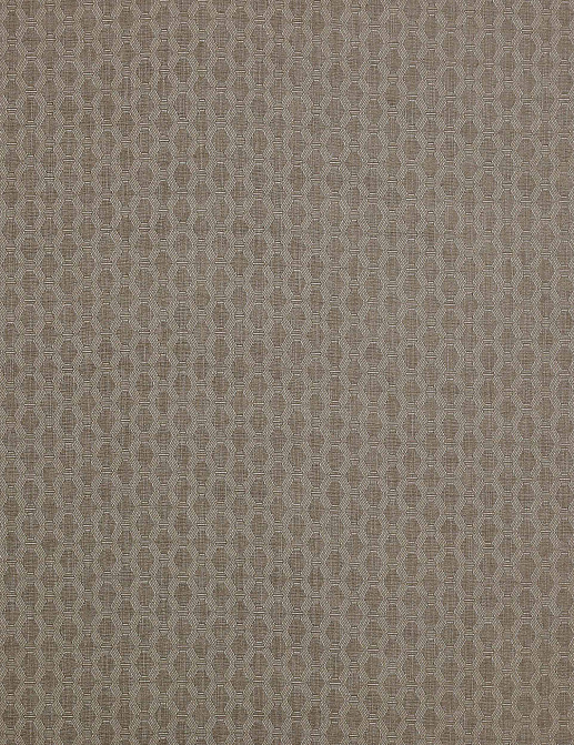 Ткань Colefax and Fowler Shaw F4335/04