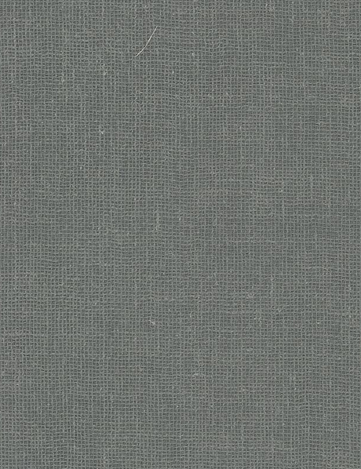 Обои Carlisle & Co Naturals LX1057