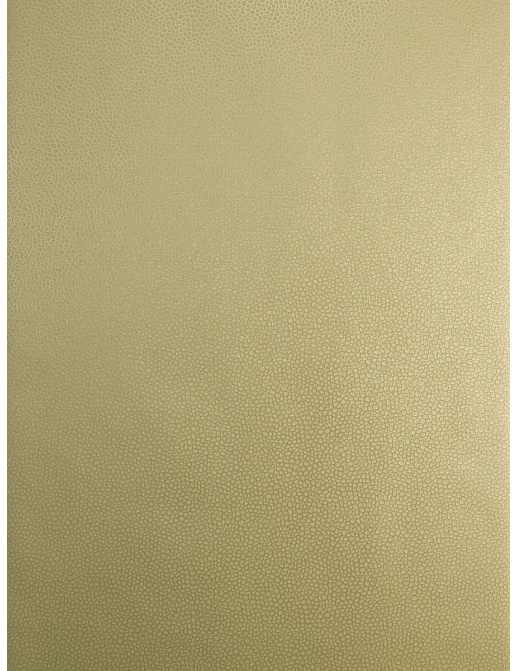Обои Trend Vern Yip W30016/03