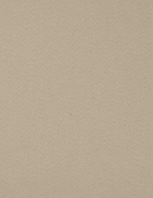Ткань Designers Guild Santiago F1650/05
