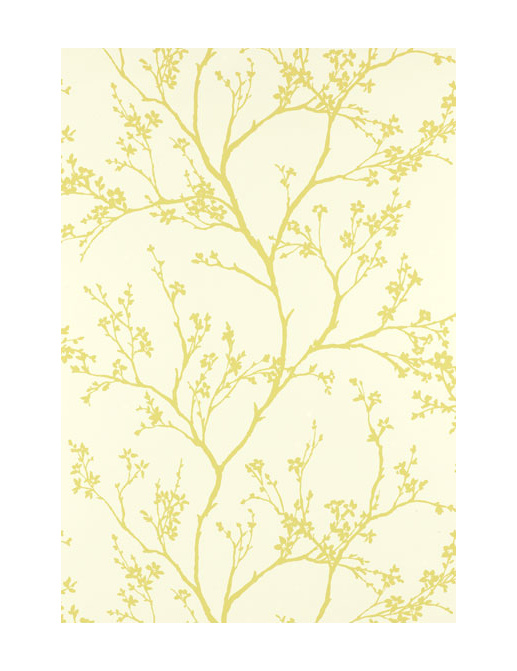 Обои Schumacher Modern Nature 5003342
