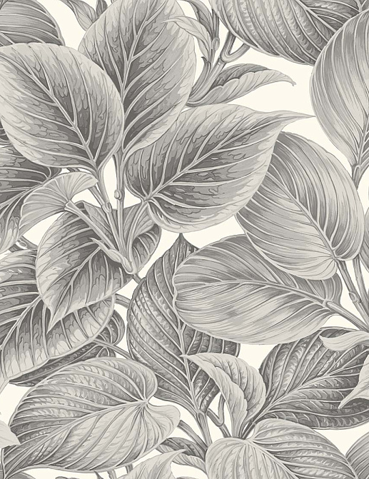 Обои Paper & Ink Shades & White WS70318