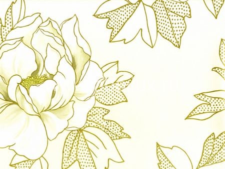 Обои Designers Guild Whitewell P508/05
