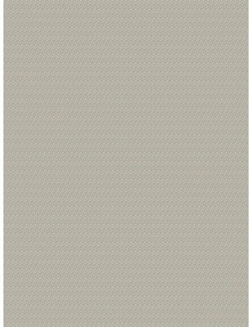 Ткань Fabricut Luxe Nuances Granite Moon Rich&Famous/LinenSheen