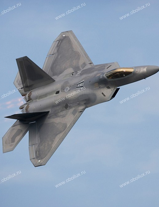Панно и фотообои A. S. Creation XXL II 344 F22 Raptor