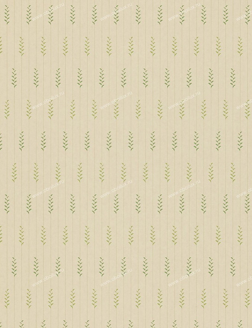 Обои Sanderson Classic Collection II DCLARY104