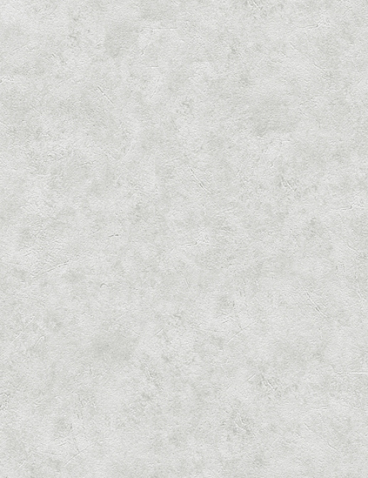 Обои A. S. Creation Meistervlies 5 960055