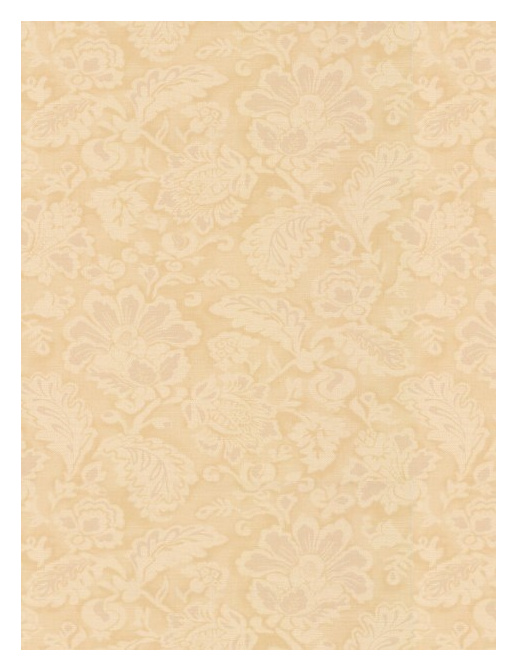 Обои Colefax and Fowler Casimir Wallpapers 07166-04