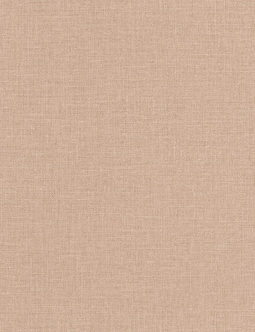 Обои Caselio Jute JTE104011926
