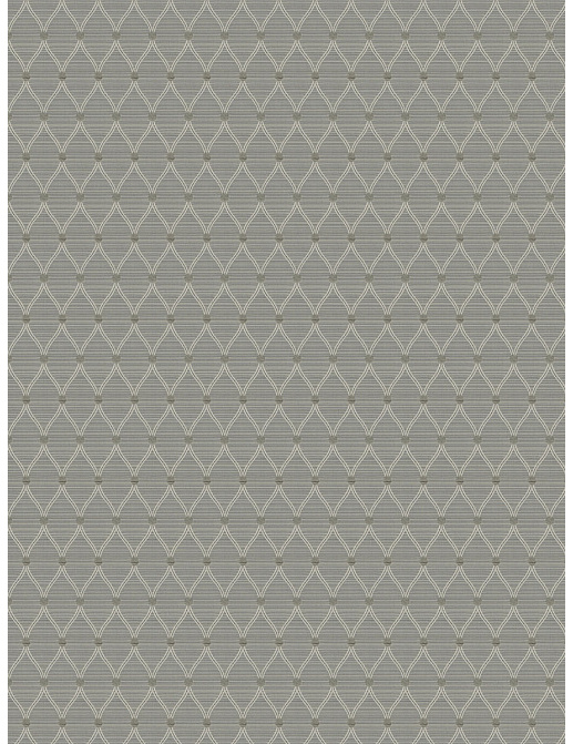 Ткань Trend Stone-Cloud Prints & Wovens Vol.VIII 03680/Pewter