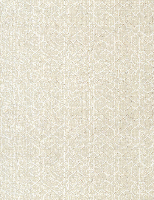Обои Thibaut Modern Resource 3 T12801