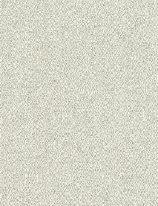 Обои York Candice Olson - Terrain COD0559N