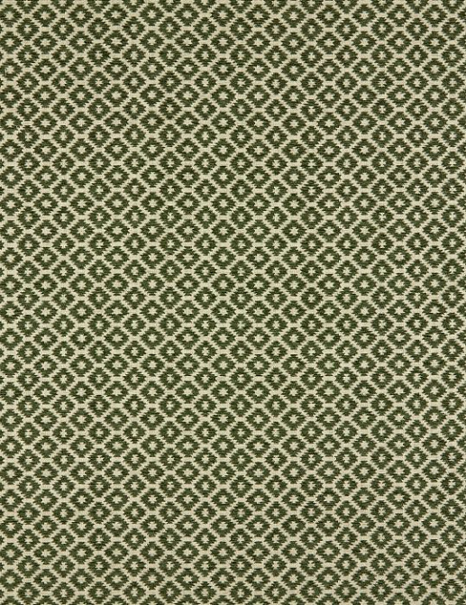 Ткань KAI Majorelle Berber/Cactus