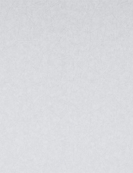Обои Zoffany Prism Vinyls 311795