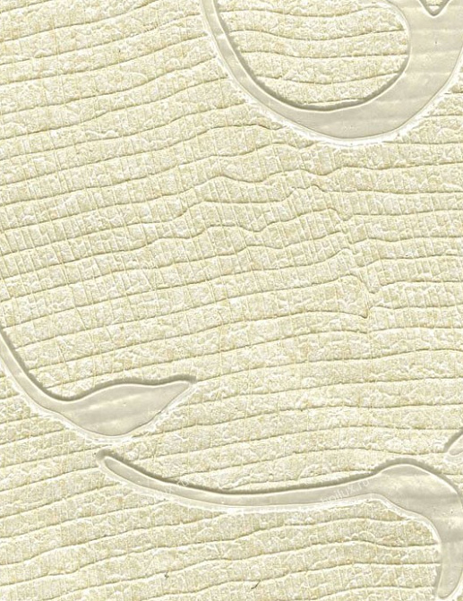 Обои Schumacher Atelier 5003391