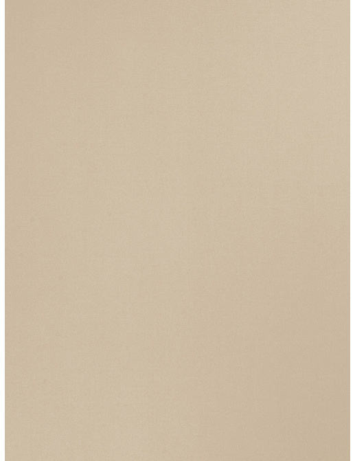 Ткань Trend Multipurpose Sleek Satin Vol.II 02022/Oyster