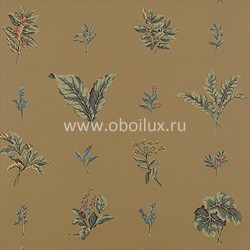 Обои Thibaut Canterbury T4855