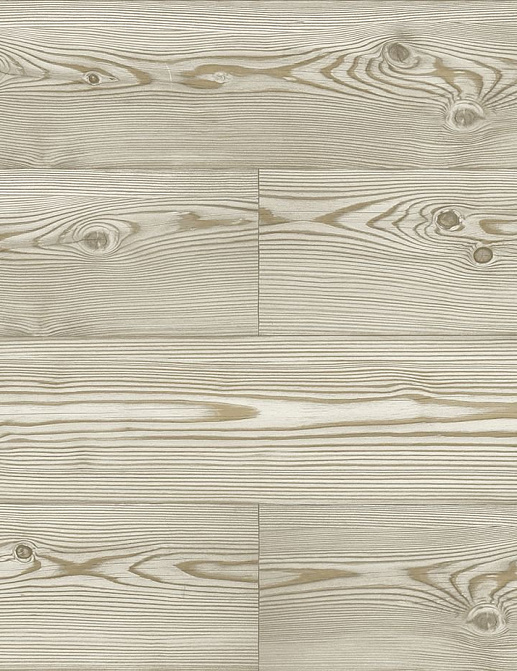 Обои Jaima Brown Woodlands Resource JB21706