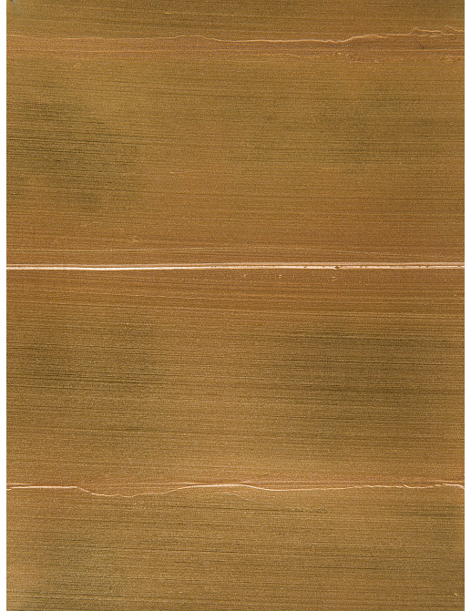 Обои Holland & Sherry Archetype Collection DEWP2052/Zora Gold