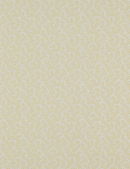 Обои Colefax and Fowler Small Designs 07985-01
