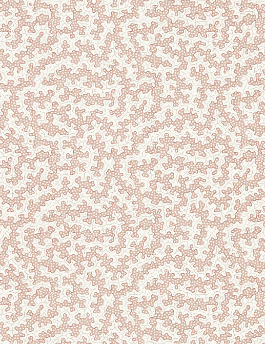 Обои Sanderson Arboretum 217240