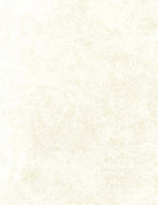Обои Marburg Domotex New Style 53504