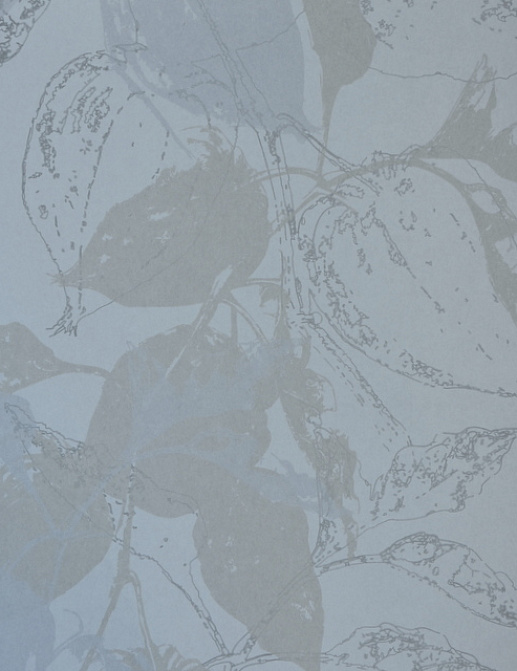 Обои Decoprint Beyond BY32206