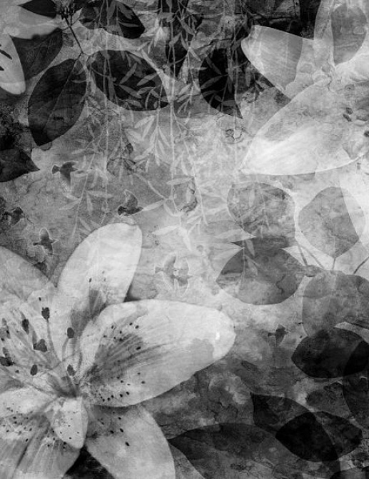 Панно и фотообои Rebel Walls No 1 Panorama R12062
