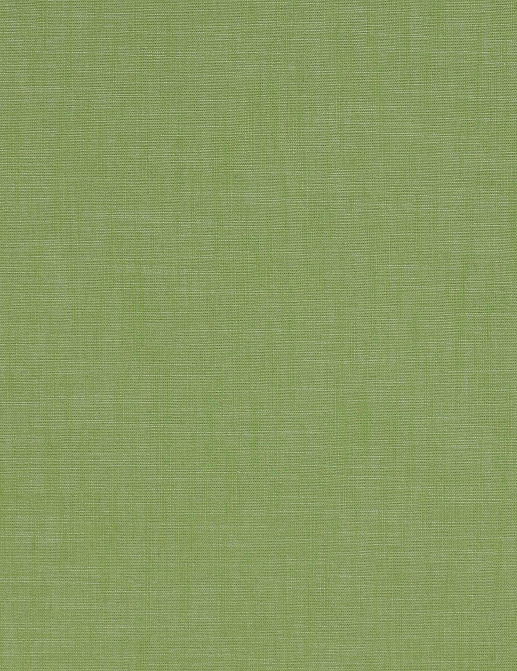 Ткань Manuel Canovas Chloe 04882/27