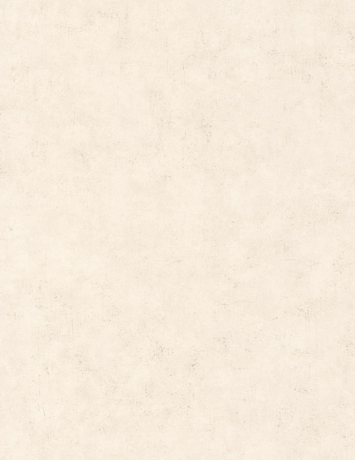 Обои Caselio Beton 101481258