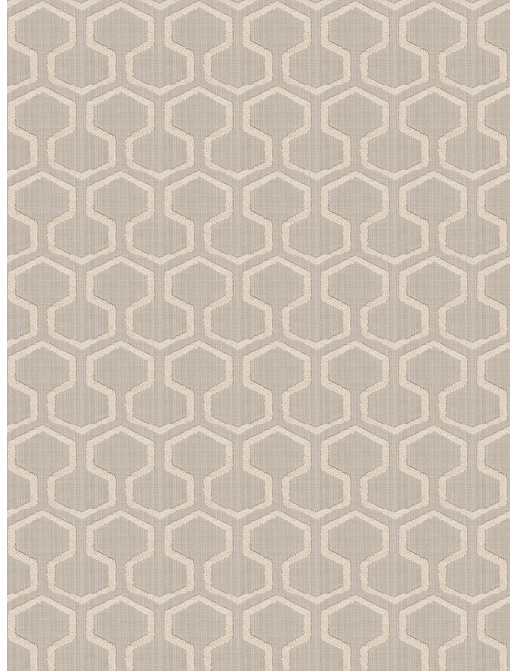 Ткань Fabricut Expressions Vol.V Shadow Elver geo/Grey