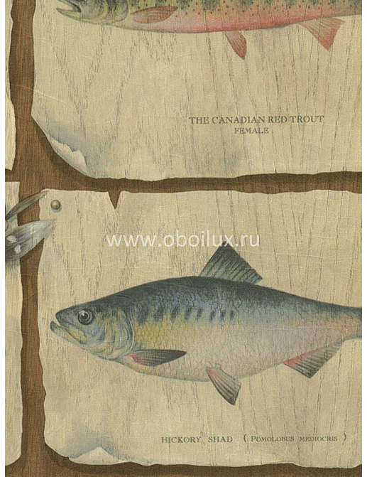 Обои Blue Mountain Brown BC1580216