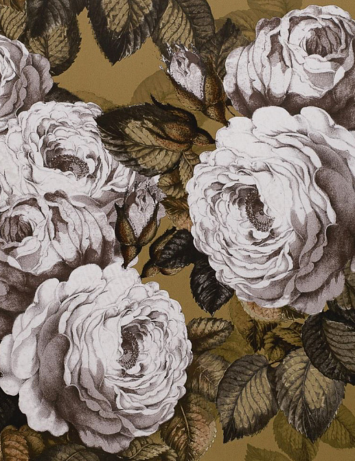 Обои Designers Guild John Derian - Picture Book PJD6002-04