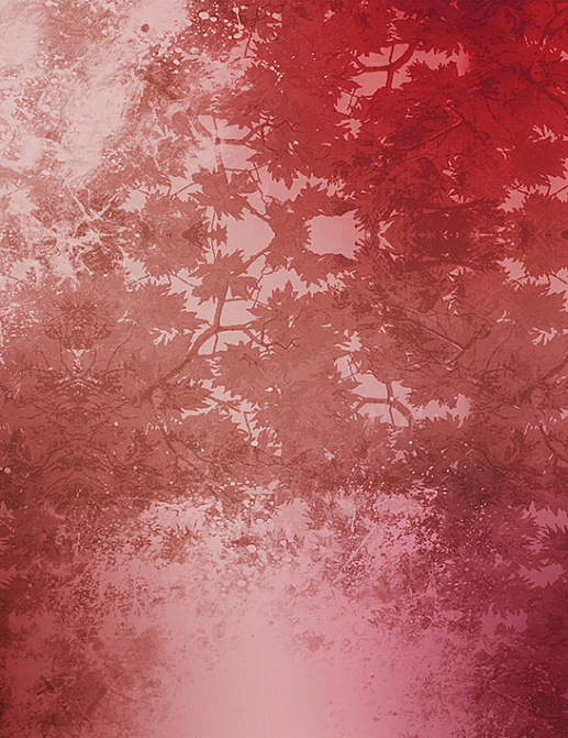 Панно и фотообои Skinwall Contemporary Collection 70A