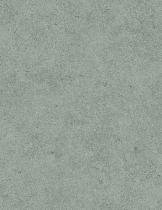 Обои Borastapeter Sense of Silence 6305