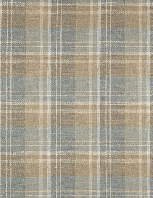 Ткань Colefax and Fowler Magnus Checks F4722/01