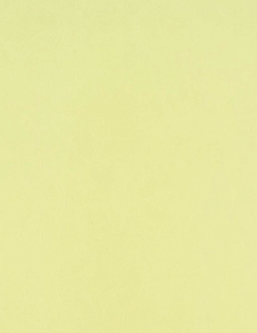 Обои Designers Guild Naturally III P536/09